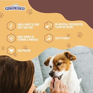 Nutri Bites Freeze Dried Canine Meals Meal Topper, Rooster Recipe 22 oz | Contemporary Wholesome Uncooked Excessive-Protein Pet Meals with Actual Meat | Nice Meal Toppers, Combine-Ins, or Coaching Treats