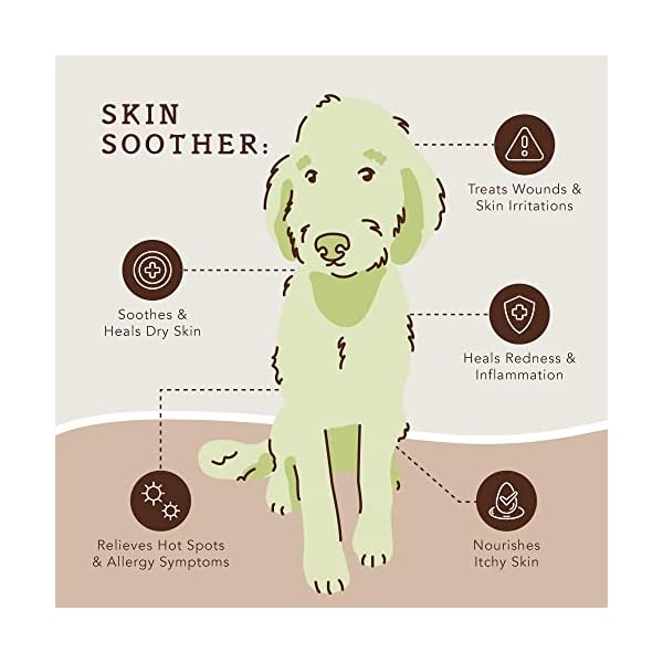 Natural-Dog-Company-Complete-Itch-Kit-for-Dogs-Skin-Coat-Supplement-Itchy-Dog-Shampoo-Skin-Soother-Healing-Balm-All-Natural-Ingredients Natural Dog Company Complete Itch Kit for Dogs | Itchy Skin Relief & Coat Care