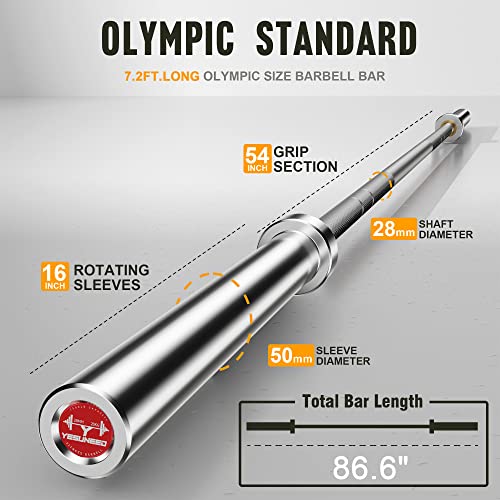 Curl Bar Olympic Barbell EZ Bar for Biceps, Squat, Weightlifting