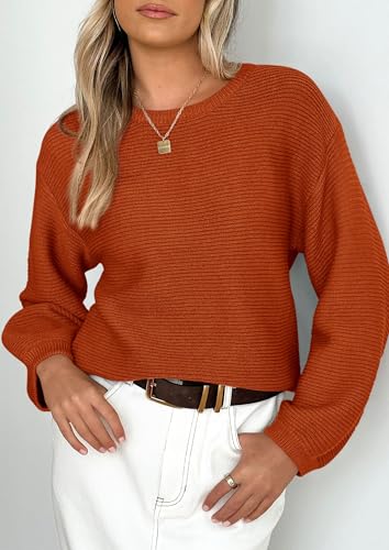 PRETTYGARDEN Womens Fall Sweaters 2025 Casual Loose Crewneck Ribbed Long Sleeve Top Knit Pullover Sweater4