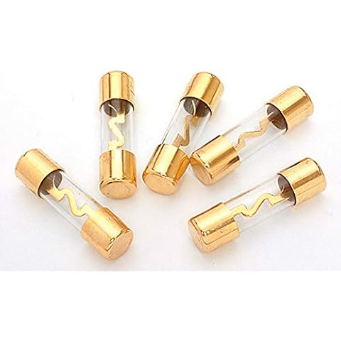 Xscorpion AGU100G AGU FUSES 100AMP 5 PACK GOLD XSCORPION Cover