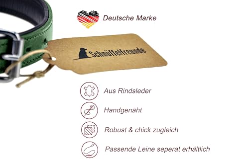 Schnüffelfreunde Halsband für Hunde aus Leder, Hundehalsband für den großen, mittleren und kleinen Hund, Lederhalsband gepolstert, robust (L - 36-45cm, Grün)