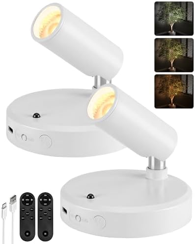 EZVALO Spot Lights Indoor, 5500mAh Rechargeable Picture Lights wi...