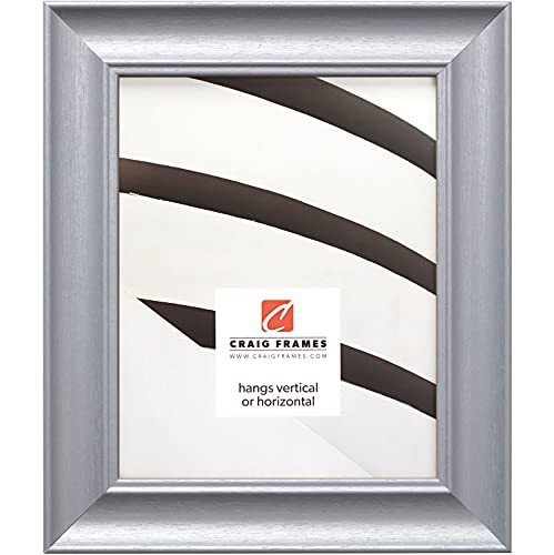 Craig Frames Vintage Revival, Brushed Silver Picture Frame, 8 x 10 Inch