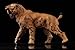 Saber-Toothed Tiger Animal Model Decor Machairodus Collector Gift