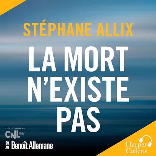 La mort n'existe pas Audiolibro Por St&eacute;phane Allix arte de portada