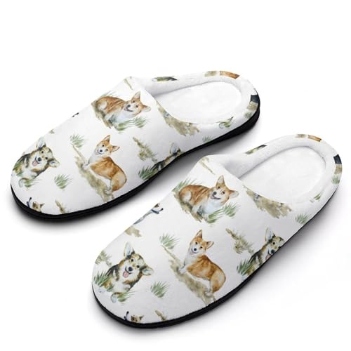 [ZKCASA] Xbp R[M[ ʔ  [V[Y   qp h  g 􂦂 ~ jp I[V[Yp 11-12i44-45j