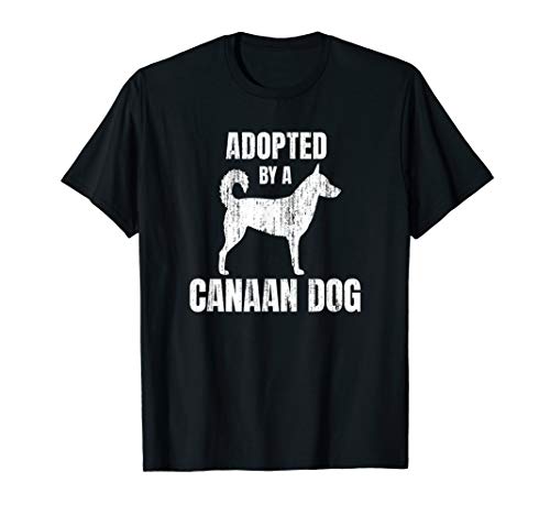 Canaan Dog T-Shirt