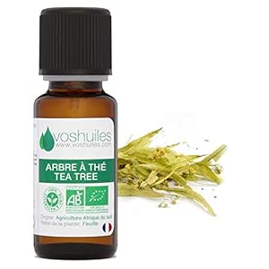 Biologische theeboom van etherische olie (Tea Tree)