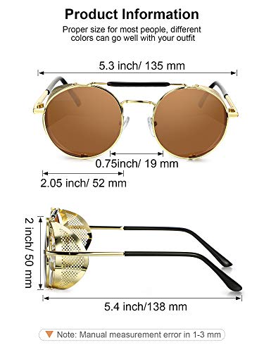 4 Pairs Steampunk Sunglasses Retro Gothic Sunglasses Unisex Vintage Glasses2