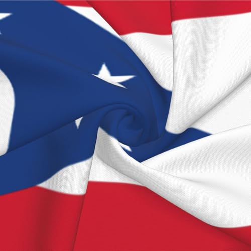 Fundas para cojines decorativos de sofá juego de 2 con estampado de bandera de Ohio 7
