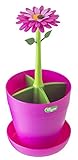 Color: Verde y Rosa | Diseño Flower Power de Vigar