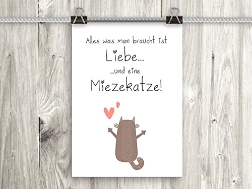 Artissimo, Poster mit Spruch, Din A4, PE0059-DR, Alles was Man braucht, Bild mit Spruch, Spruchbild, Wandbild, Plakat, Kunstdruck, Zitat, Sprüche, Wanddekoration, Typographie, Typografie Cover