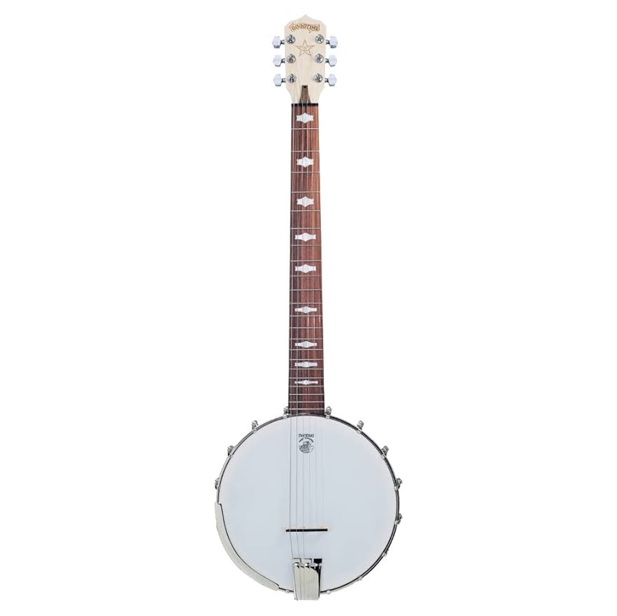 DEERING 6弦ギターバンジョー DEERING ディーリング G6SR 6弦ギターバンジョー リゾネーター