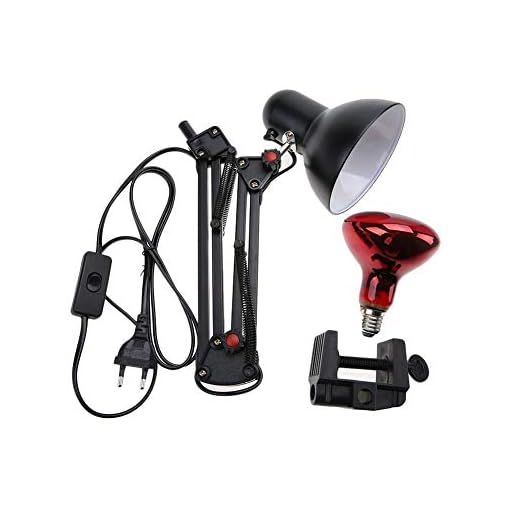 DEWIN Lampara Infrarrojos Fisioterapia -Lámpara de fisioterapia de calor infrarrojo Terapia de calefacción Alivio del dolor ligero Cuidado de la salud (Negro EU Plug)
