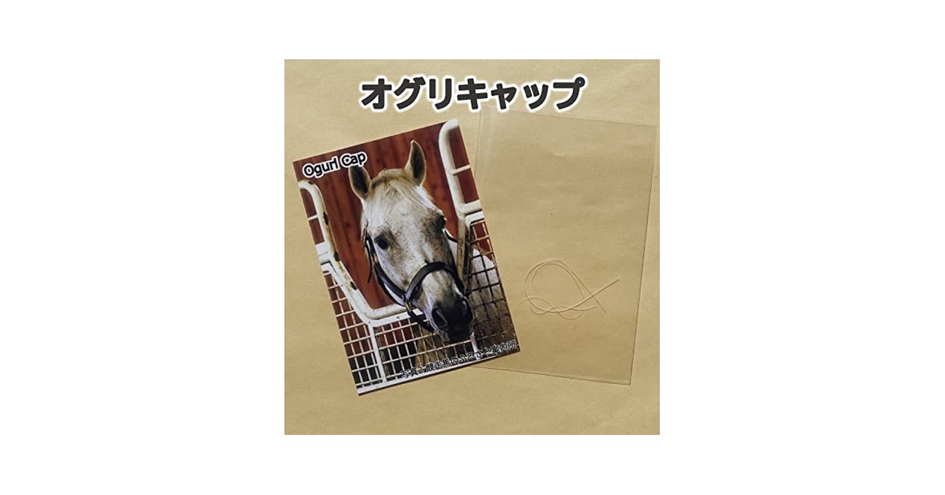 競馬　S太郎様のキャップの本3冊　夢　オグリキャップ 競馬 S太郎様のキャップの本3冊 夢 オグリキャップ Amazon.co.jp: