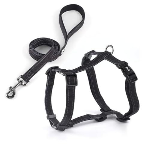 Dog Harness Leash Set, No Pull Adjustable Halter Cute Comfort Padded Handle for Medium Sized Large Small Dogs Walking Training Running with Reflective（Small,Black） Cover