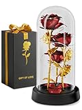 Kotko LED Light Up Rose in Glass Dome in Gift Box for Mom & Grandma, Birthday Gifts for Women, Romantic Forever Flowers — Lighted Rose Lamp, Battery Powered Home Decor (Red)