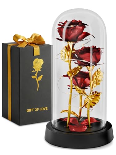 Kotko LED Light Up Rose in Glass Dome in Gift Box for Mom & Grandma, Birthday Gifts for Women, Romantic Forever Flowers — Lighted Rose Lamp, Battery Powered Home Decor (Red)