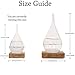 Weather Predicting Storm Glass Set-Elegant Weather Tear Drop Shaped Storm Glass Bottle with Wooden Base - Perfect Home and Office Decoration - Unique Idea & Conversation Starter