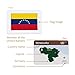 CARDDIA | Collection of Country Flags Educational Flashcards | 242 Flags with Country Names, Territory Shapes, Capitals & Continents | Durable & Portable | Perfect for Geography Gifts