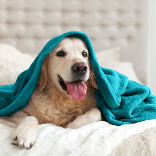 Image of BEDELITE Throw Blanket for Couch and Bed - 300GSM Luxury Plush Cozy Fleece Blanket 50x60 Inches Teal Blue, Soft Lightweight Blanket for Travel Camping