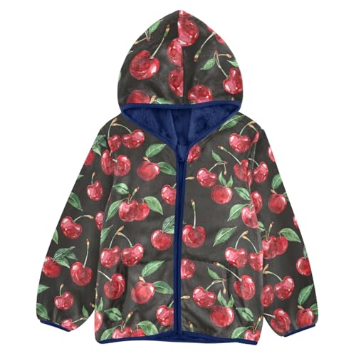 CHIFIGNO Cartoon Animals Sweatshirt Jacket with Hood Toddler Boy Hoodies for Fall Winter Kids Zip up Jacket 3-10Y