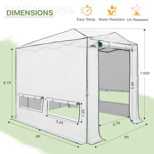 EAGLE PEAK Instant Pop-up Greenhouse, Indoor Outdoor Plant Gardening Green House, Roll-Up Zipper Doors and Side Windows, Heavy Duty Walk in 8x6 ft, Woven PE Top, White