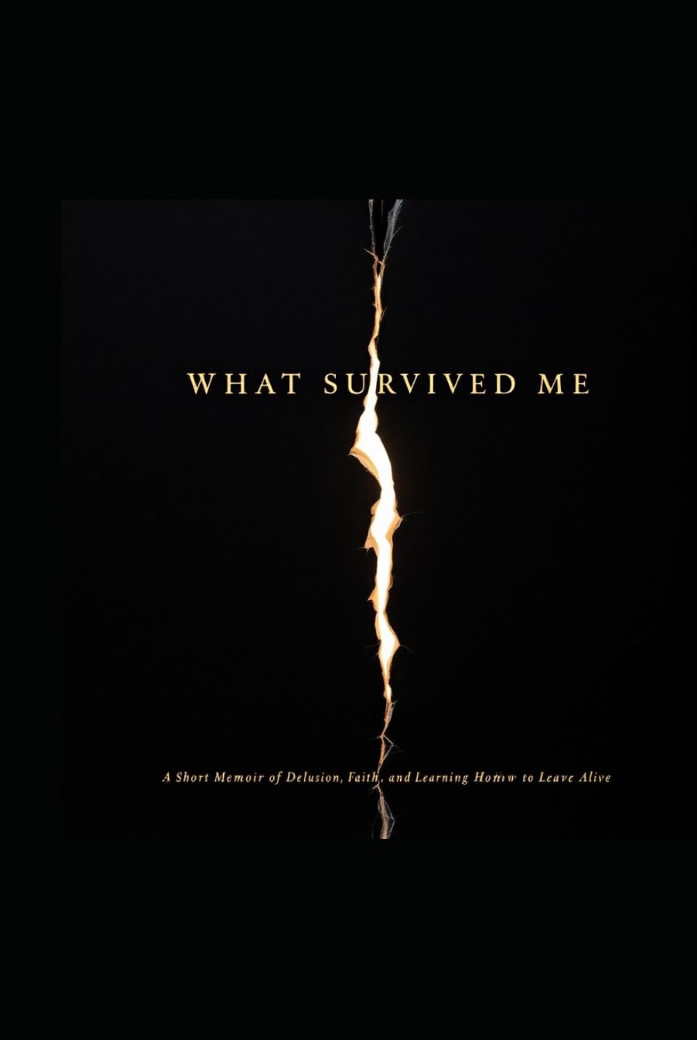 What Survived Me