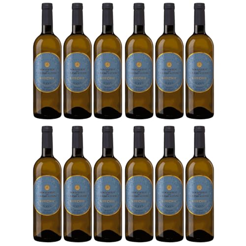 Terre Da Vino Vite Colte Gavi di Gavi Masseria Die Carmelitani Cortese Weißwein weiß trocken Piemont Italien inkl. FeinWert E-Book (12 x 0,75l)