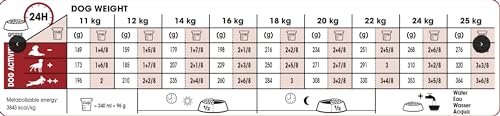 Royal Canin Medium Adult