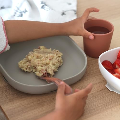 Image of BEABA Silicone 4-Piece Meal Set - Easy to Clean - Dishwasher and Microwave Safe - Soft, Unbreakable, Non-Slip Suction Bottom - Includes Plate, Bowl, Cup and 2nd Stage Silicone Spoon (Terracotta)