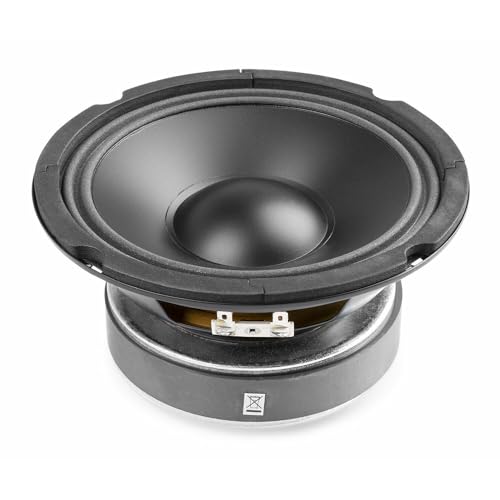 Fenton WP16 - Altavoz de Graves de Alta fidelidad, Altavoz de Repuesto con Cono de PP de 16 cm, 200 vatios - woofer de 8 Ohm - 6,5 Pulgadas, Altavoz de Cono, Altavoz de Repuesto, Altavoz Integrado