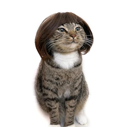 GIOJIO Funny Dog Cat Cosplay Wig Dog Wigs for Small Medium Dogs Pet Costume Wig for Halloween Christmas Parties Festivals Black Brown Straight Hair