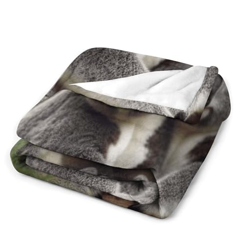 Couverture en micro polaire koala cadeau parfait pour enfant