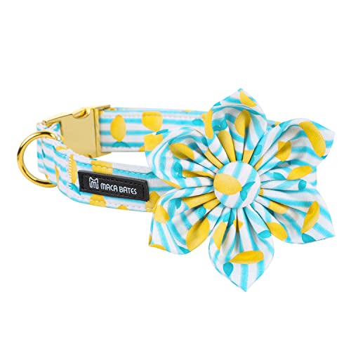 Maca Bates Flower Summer Lemon Dog Collar with Flowers for Dogs Adjustable Breakaway Bloom Cute Collars Accessories Birthday Gift for XS Small Medium Large XL for Puppy Cat Pets -  M MACA BATES, YR1017-b426