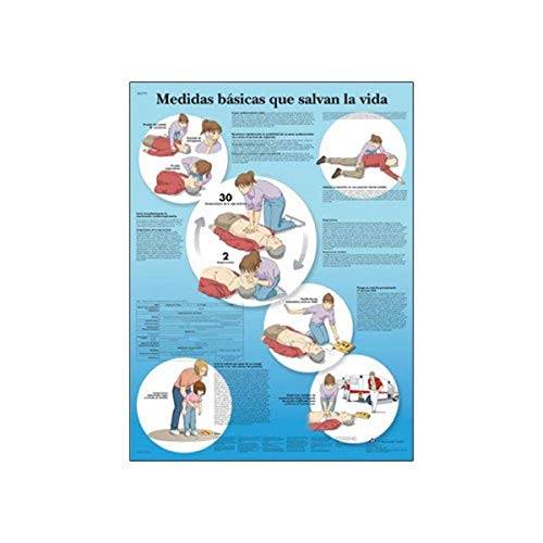 Reflexoterapia plantar carte VR3770L pour apprendre la réflexologie