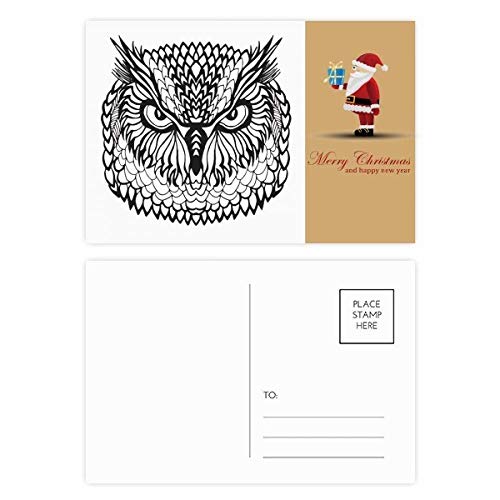 Cartes postales hiboux Big Eyes collection papeterie originale lot de 20
