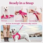 rabbitgoo Dog Harness Small Sized and Leash Set, Step in Soft Light Puppy Vest, Breathable Mesh Pet Harness, Reflective for Safe Easy Walking, Rose Red S - Image 5