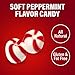 Bobs Sweet Stripes – 2lb Bulk of Peppermint Candy – Party Pack of Delicious Mint Candy – Peppermint Candy for Special Occasions – With White and Red Strips (2 Pounds)
