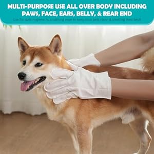 PETHous-Pet-Glove-Wipes-for-Dogs-Cats-Cleaning-Deodorizing-Grooming-Gloves-Pet-Bathing-WipesPet-Care-Rinse-Free-Hypoallergenic-Nourish-Fur-Glove-Wipes-for-Daily-Care-and-Traveling-6-PCS - Cucciolini Doodles   PETHous-Pet-Glove-Wipes-for-Dogs-Cats-Cleaning-Deodorizing-Grooming-Gloves-Pet-Bathing-WipesPet-Care-Rinse-Free-Hypoallergenic-Nourish-Fur-Glove-Wipes-for-Daily-Care-and-Traveling-6-PCS