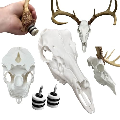 Backcountry Innovated Whitetail Self-Hanging European Antler Mounting Fake Deer Skull Kit | Antler Adjustment System | 3D Scanned Buck Skull | DIY Euro Antler Mount Kit | Shed Antlers | Taxidermy