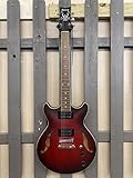 ibanez as53 usata I pickup Infinity R presentano un'articolazione calda ed equilibrata e una risposta eccellente per vari generi musicali