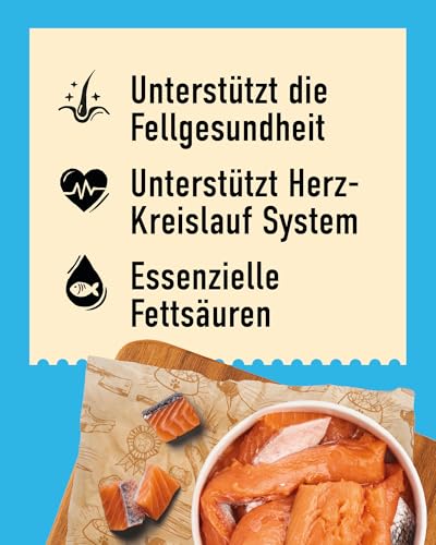 DIBO Lachsöl für Hunde und Katzen – 500ml mit Pumpspender | Reich an Omega-3 & Omega-6 Fettsäuren | Für gesundes Fell & Haut | Hundefutter, Barf, B.A.R.F.