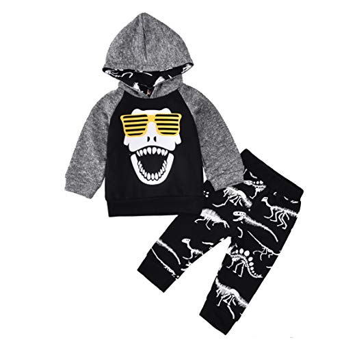 Image of HINTINA Baby Boys Dinosaur Long Sleeve Hoodie Tops Sweatsuit Pants Winter Outfit Set
