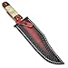 HIVE BLADES Handmade 13 inch D2 Steel Bowie Knife With Sheath Full Tang Fixed Blade Hunting Knife For Men Bushcraft Knife Ideal For Survival Hiking Camping & Outdoor Use