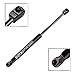 BOXI Qty(1) Front Hood Lift Support Shock Gas Strut Shock Spring Fits for VW Beetle Convertible 1998 1999 2000 2001 2002 2003 2004 2005 2006 2007 2008 2009 2010 | 4328 SG201020 PM3161 1C0823359E