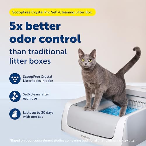 8. PetSafe ScoopFree Self-Cleaning Litter Box – Hassle-Free Odor Control
