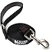 Leashboss 10 Foot Dog Leash - 3/4 Inch Nylon with Padded Handle - Training, Walking, Camping Lead for Medium & Large Dogs (10 Foot, Black, 3/4 in)