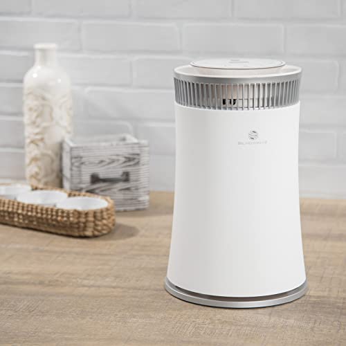 Premium Air Purifiers For Home Large Room, Air Purifier For Bedroom H13 True Hepa Filter Removes Up To 99.97% Of Pet Dust Smoke Pollen, Air Cleaner For Office, Living Room - Silveronyx 5-Speed White #TOP5